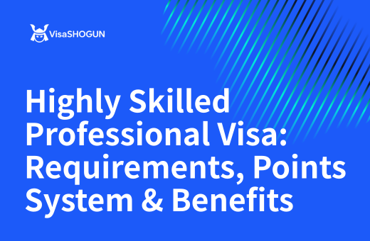 Highly Skilled Professional Visa: Requirements, Points System & Benefits